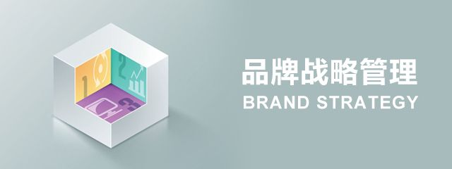 启动品牌战略管理与国际机构合作